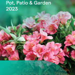 HilverdaFlorist-Pot,-Patio-&-Garden-Catalogue-HR-1