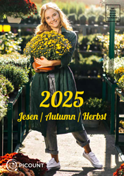 Katalog_Krizanteme-2025_web-1